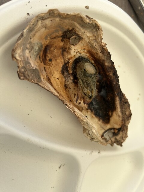 出張カキ小屋 牡蠣奉行 道の駅国見あつかしの郷 - 藤田（かき）の写真