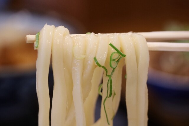 Sanuki Udon Everyday Shinborikawa Honten photo 4