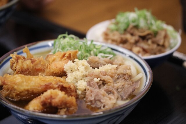 Sanuki Udon Everyday Shinborikawa Honten photo 5