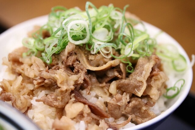 Sanuki Udon Everyday Shinborikawa Honten photo 3