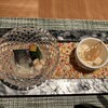 日本食 雅庭
