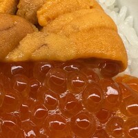 函館うに むらかみ 日本生命札幌ビル店 - 