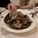 ラ・テンダ・ロッサ - 貝殻