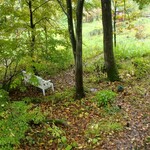 コーヒーアンドギャラリー モリ カフェ - 