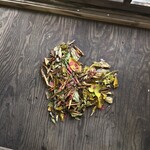 コーヒーアンドギャラリー モリ カフェ - 