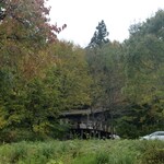 コーヒーアンドギャラリー モリ カフェ - 