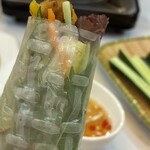 Hi Viet Nam - 
