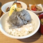 津田宇水産 レストラン - 朝獲れ生しらす丼～大量の生しらす