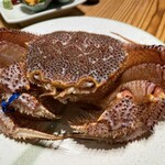 郷土料理 おが - 