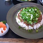 オクシモロン コマチ - キーマカリー（大）