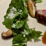 エクイリブリオ - 