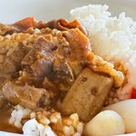 HIYOKO - モツがゴロゴロのモツカレー、本格派の味わい