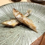 すし つむぎ - 【 ししゃも 】