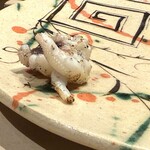 すし つむぎ - 【 げそ 】