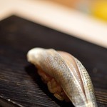 鮨 とかみ - 小鰭（こはだ）