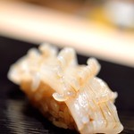 鮨 とかみ - 白烏賊（しろいか）