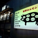 大衆酒場 野毛ゴールデンホルモン - 