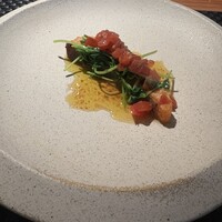 インカメラ コン テラッツァ - 