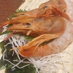 いろはにほへと - 