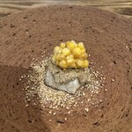 山地陽介 - 焼き胡麻豆腐　揚げトウモロコシ