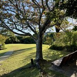 カフェ＆ワインバー リアン - 