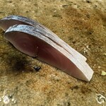 神田錦町 鮨たか晴 - 