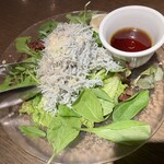 魚祭 - 朝どれシラスのMt.Fujiサラダ