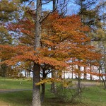 太平洋クラブ軽井沢リゾート - コース