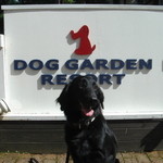 ドッグデプトガーデン - 