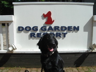 ドッグデプトガーデン - 