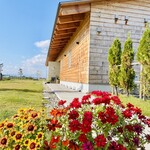 coco de cachette IZUMIYA - 