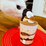 coco de cachette IZUMIYA - 