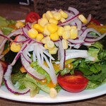 居酒屋 昼からひとやすみ - 朝採れサラダハーフ