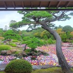 一望 - こちらは、座った席からの眺め　　茶房「一望」 その名の通り、庭園の池泉を一望できます