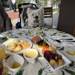 キャナリイ・ロウ - 料理写真: