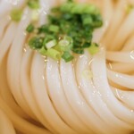 考えるな、うどん食え。 - 