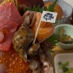 やばい魚屋さん - 