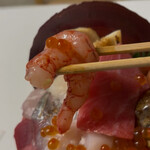 やばい魚屋さん - 