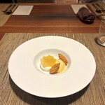 エクイリブリオ - 