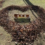 シャトレーゼ - 