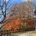 シャトレーゼ - 