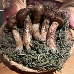 来人喜人　はぎ原 - 