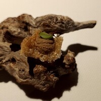 ブレストンコート ユカワタン - 