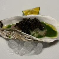 スガラボヴィー - 