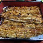 鳥常本店 - 特上うな重