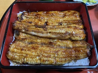 鳥常本店 - 特上うな重