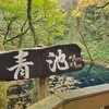 キョロロ - 紅葉の中の青池