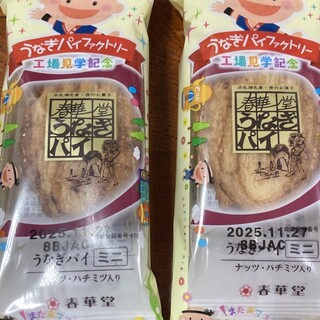 うなぎパイファクトリー 売店_0