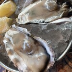 Del Mar COMEDOR Y TERRAZA - 