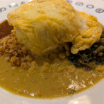 セイロンドロップ - 豆のココナッツカレー